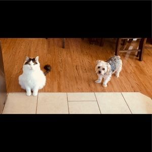 Meet your Posher, Alesia